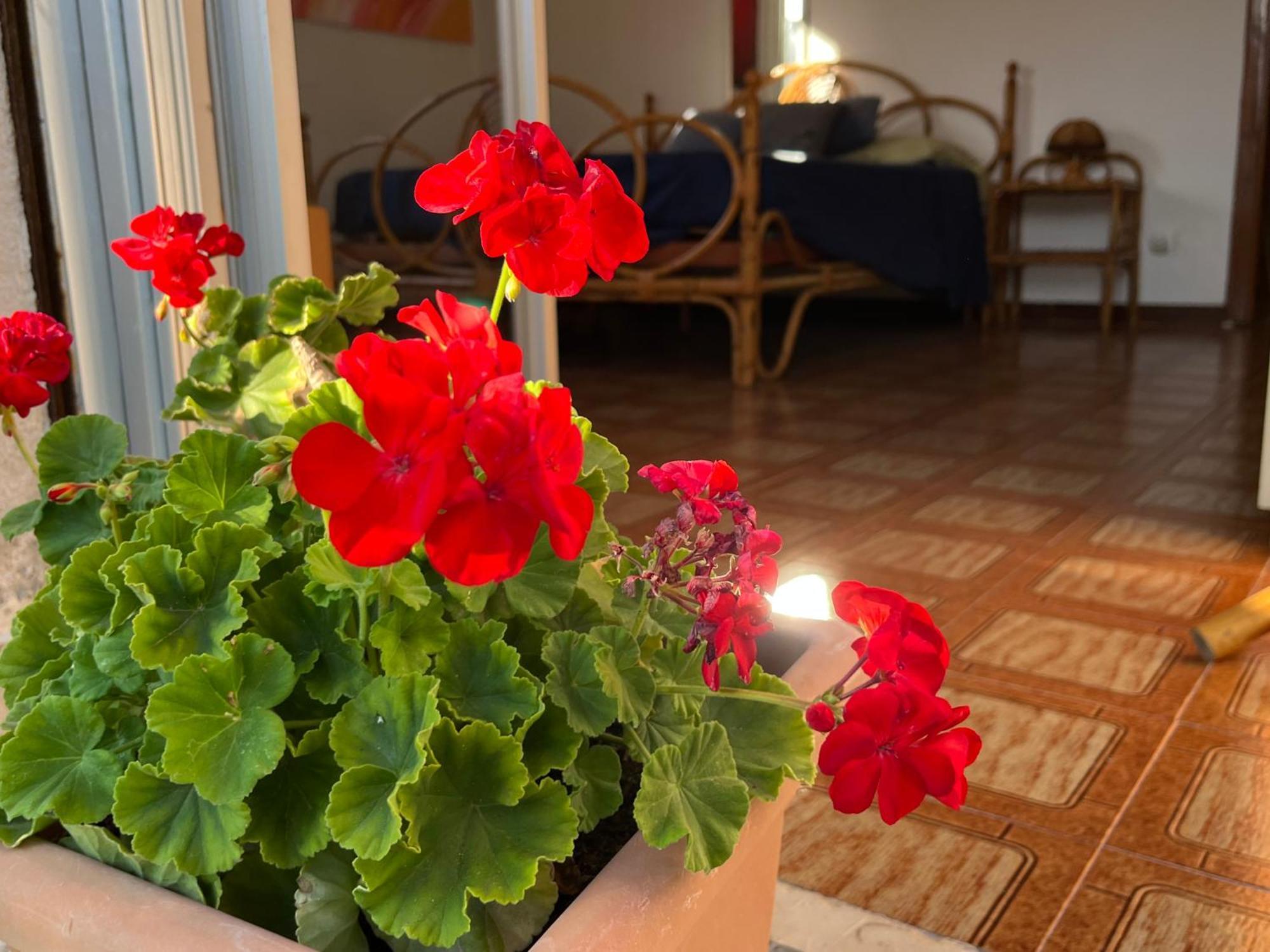 A Casa Di Mara Appartement Mondello Buitenkant foto