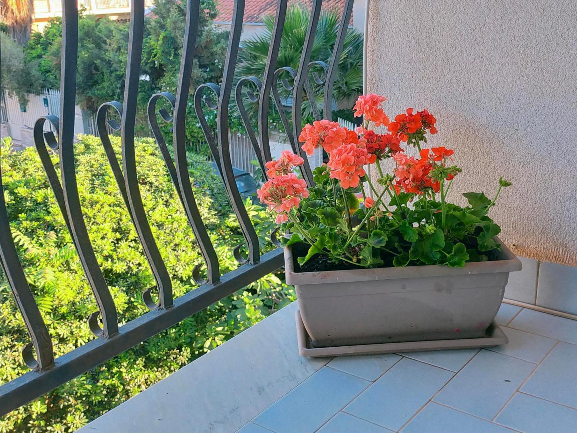 A Casa Di Mara Appartement Mondello Buitenkant foto